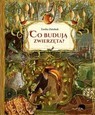 Co budują zwierzęta ?