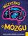 Wszystko o mózgu