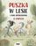 Puszka w lesie