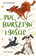 Puc , Bursztyn i goście