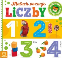 Maluch poznaje liczby