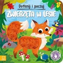 Dotknij i poczuj Zwierzęta w lesie