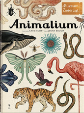 Animalium Muzeum Zwierząt