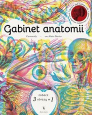 Gabinet anatomii