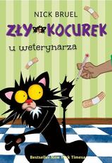 Zły kocurek u weterynarza
